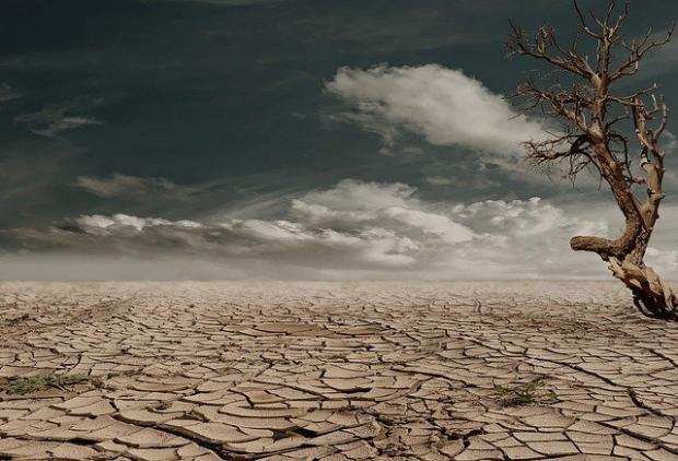 devastazione desert 279862 640